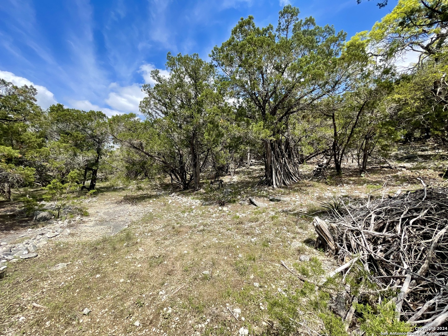 2342 Bobcat Drive Bulverde TX 78163