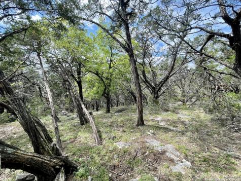 2342 Bobcat Drive Bulverde TX 78163