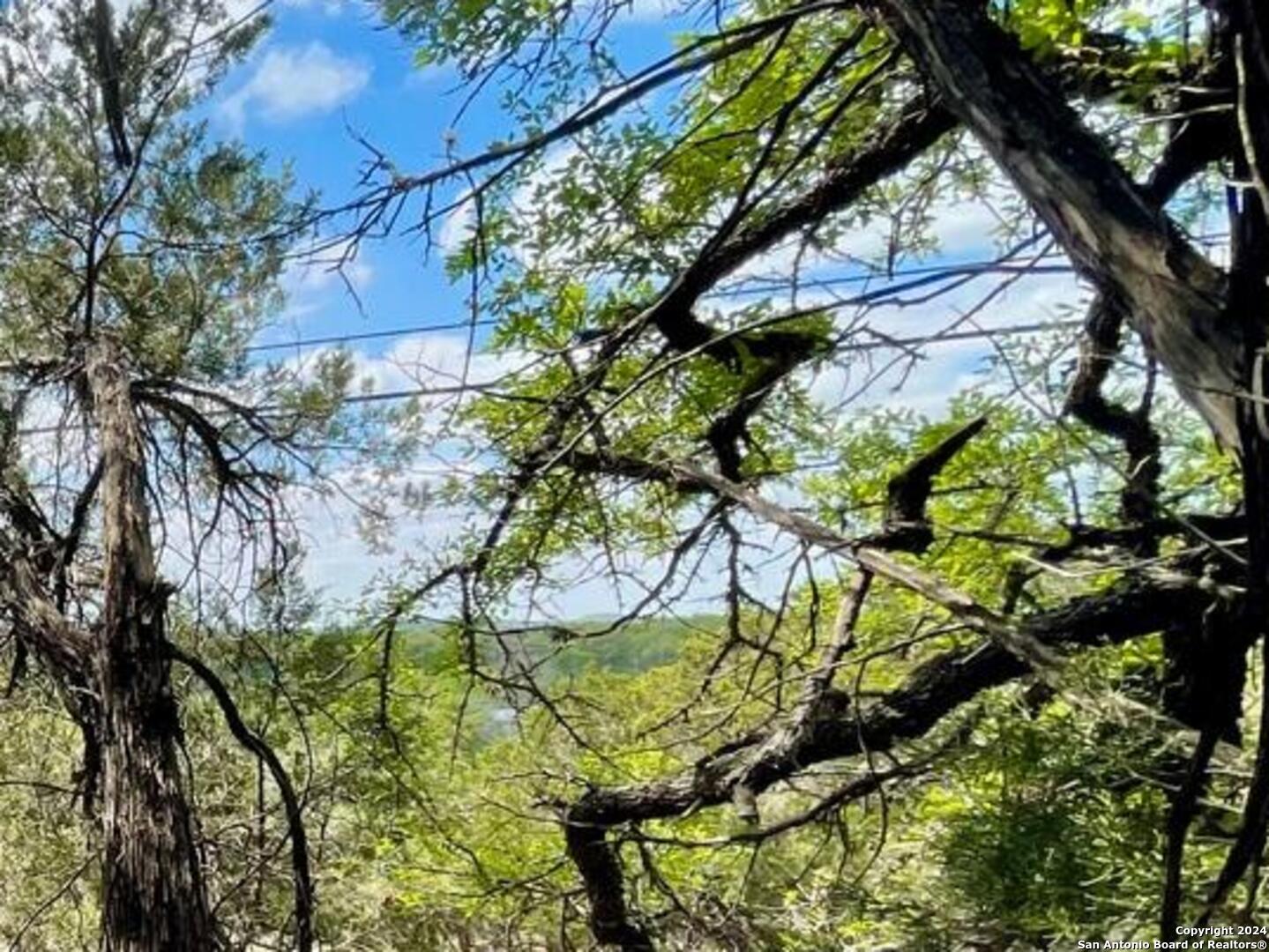 2342 Bobcat Drive Bulverde TX 78163