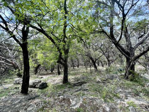 2342 Bobcat Drive Bulverde TX 78163