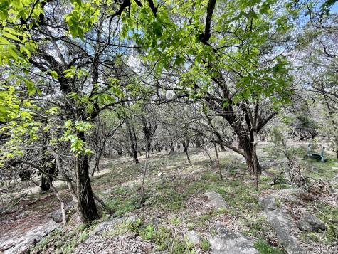 2342 Bobcat Drive Bulverde TX 78163
