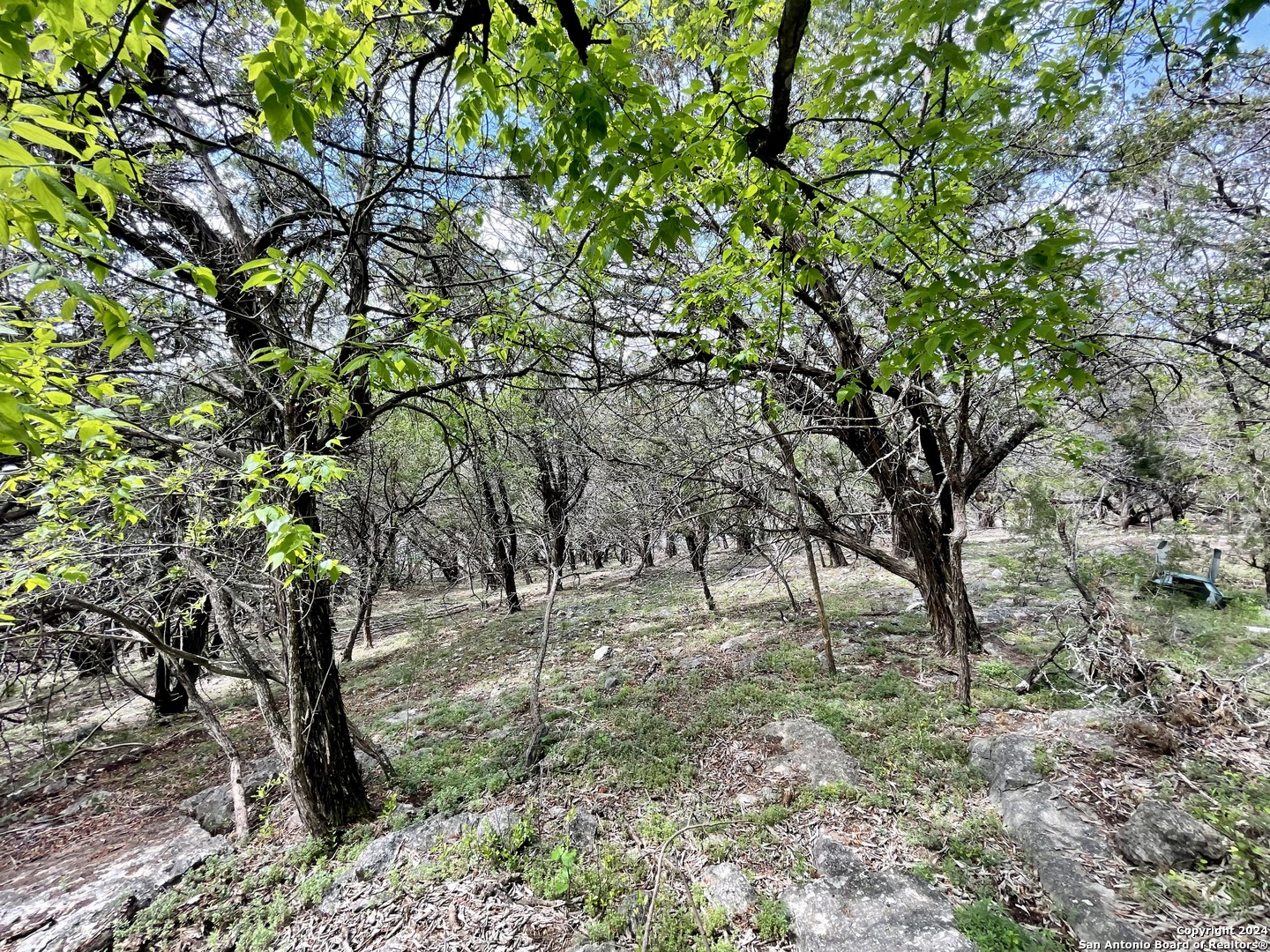 2342 Bobcat Drive Bulverde TX 78163