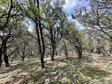 2342 Bobcat Drive Bulverde TX 78163