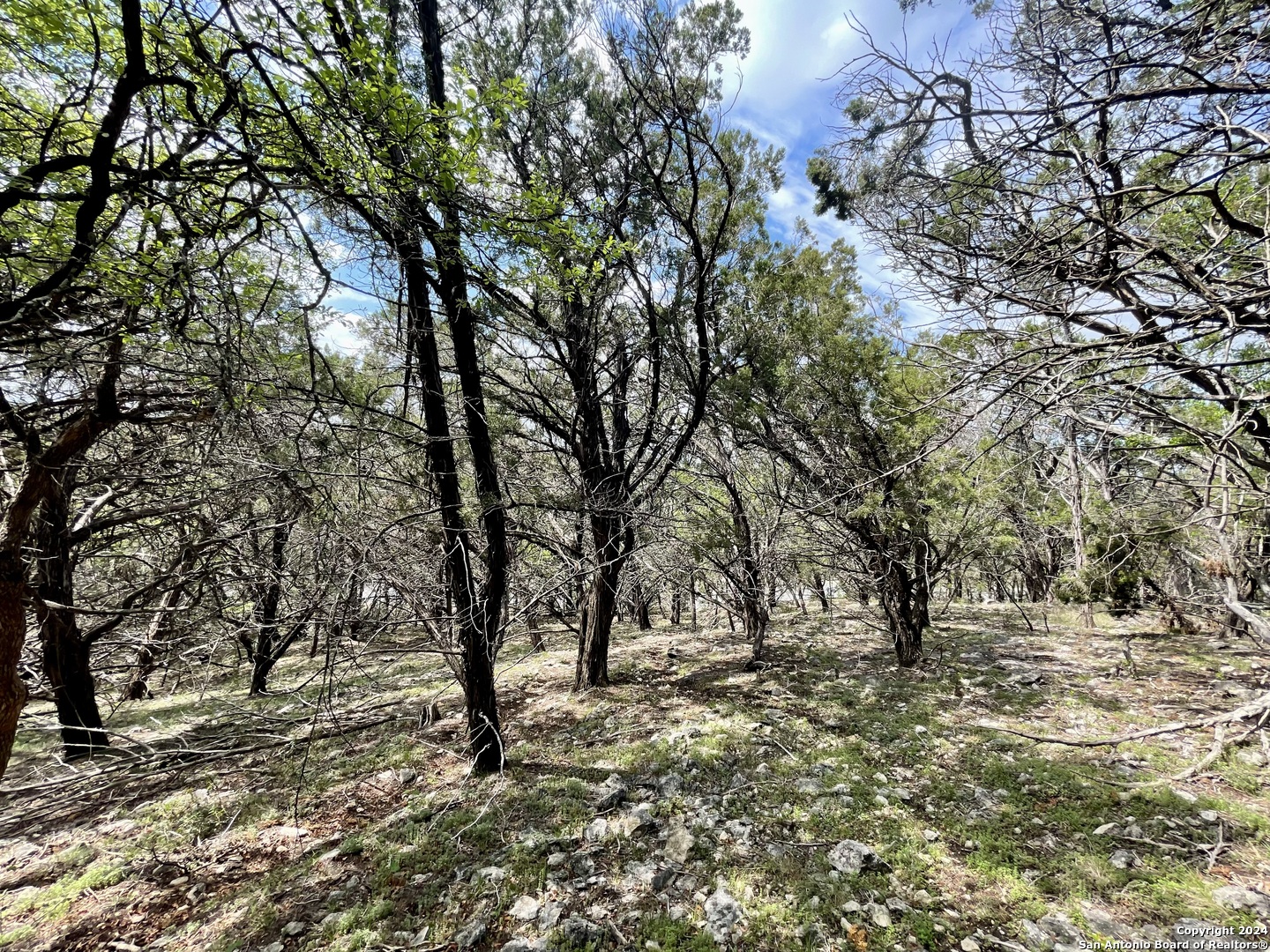 2342 Bobcat Drive Bulverde TX 78163