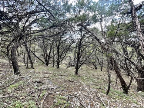 2342 Bobcat Drive Bulverde TX 78163