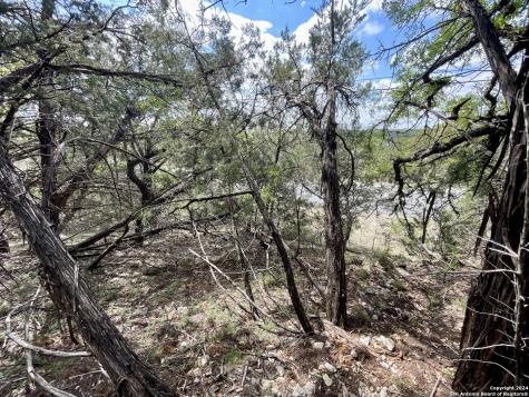 2342 Bobcat Drive Bulverde TX 78163