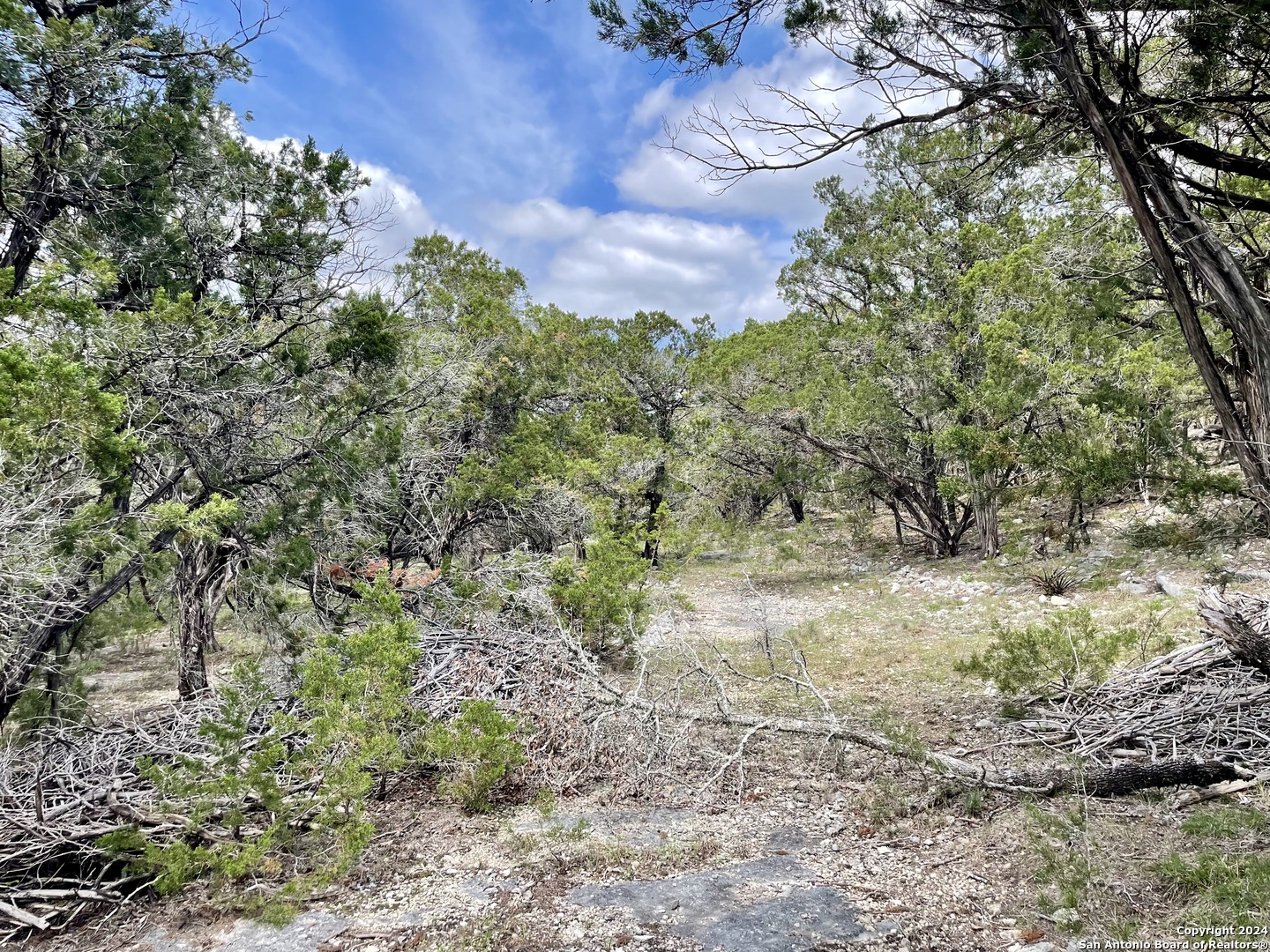 2342 Bobcat Drive Bulverde TX 78163