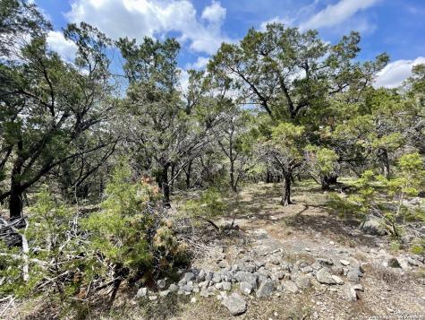 2342 Bobcat Drive Bulverde TX 78163