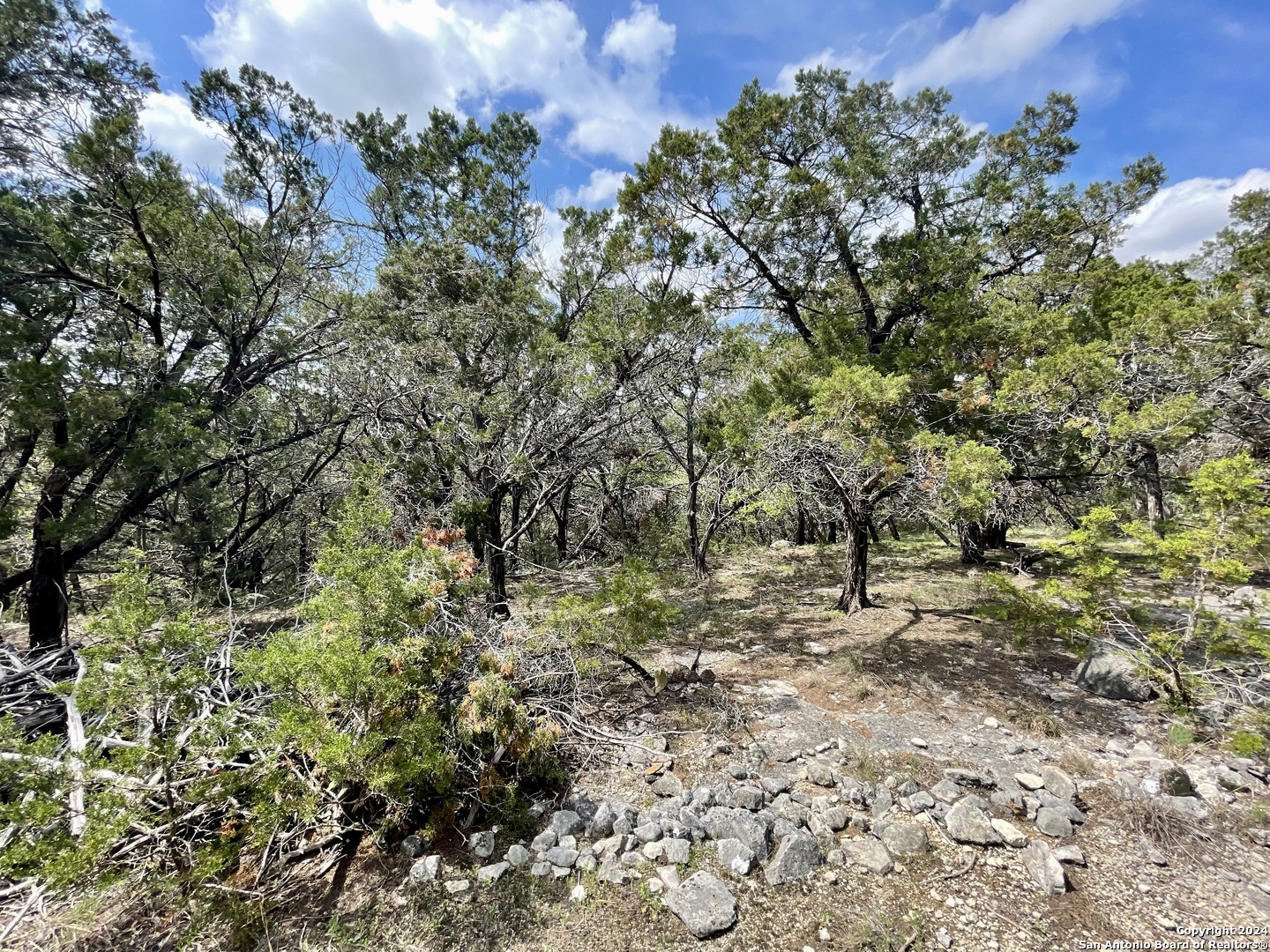 2342 Bobcat Drive Bulverde TX 78163