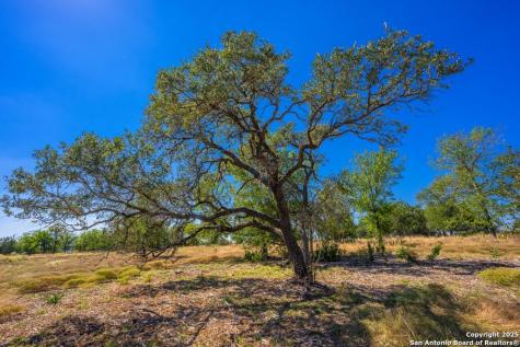 Lot 9 The Views Boulevard Fredericksburg TX 78624
