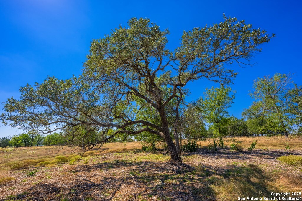 Lot 9 The Views Boulevard Fredericksburg TX 78624