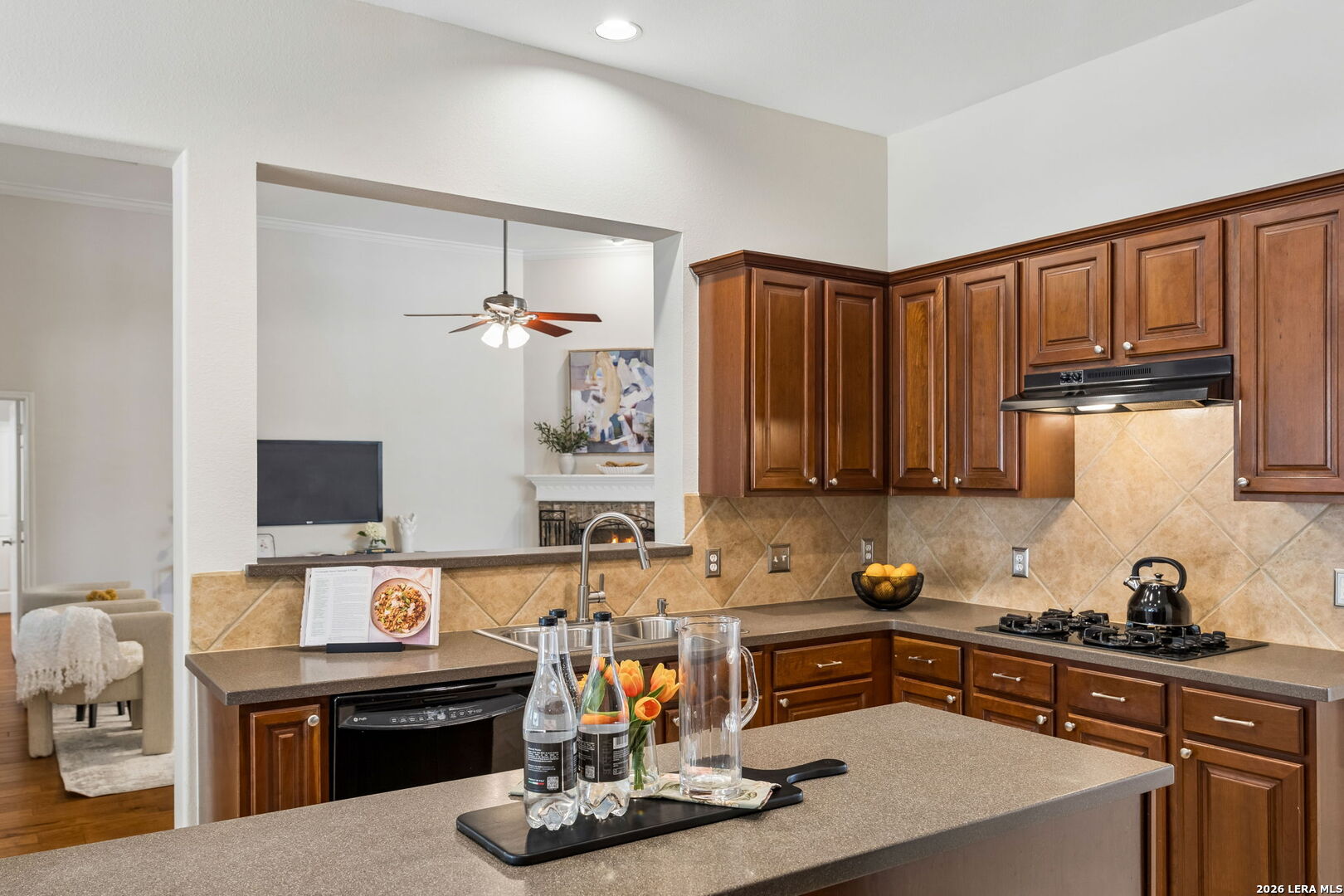 25003 Woodmont San Antonio TX 78260