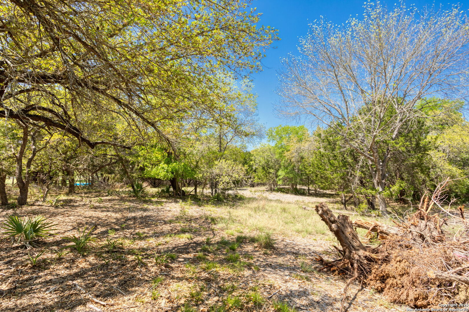 421 Lake Side Circle Boerne TX 78006