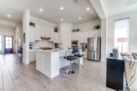 29734 Elkhorn Ridge Fair Oaks Ranch TX 78015