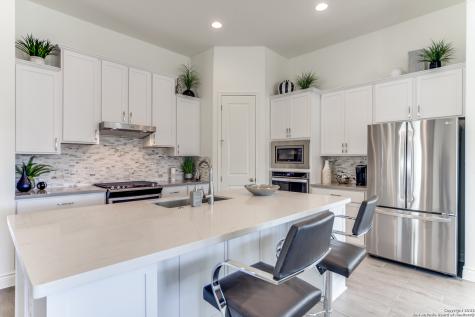 29734 Elkhorn Ridge Fair Oaks Ranch TX 78015