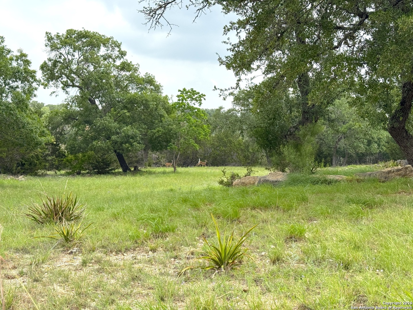 726 Caballo Canyon Lake TX 78133