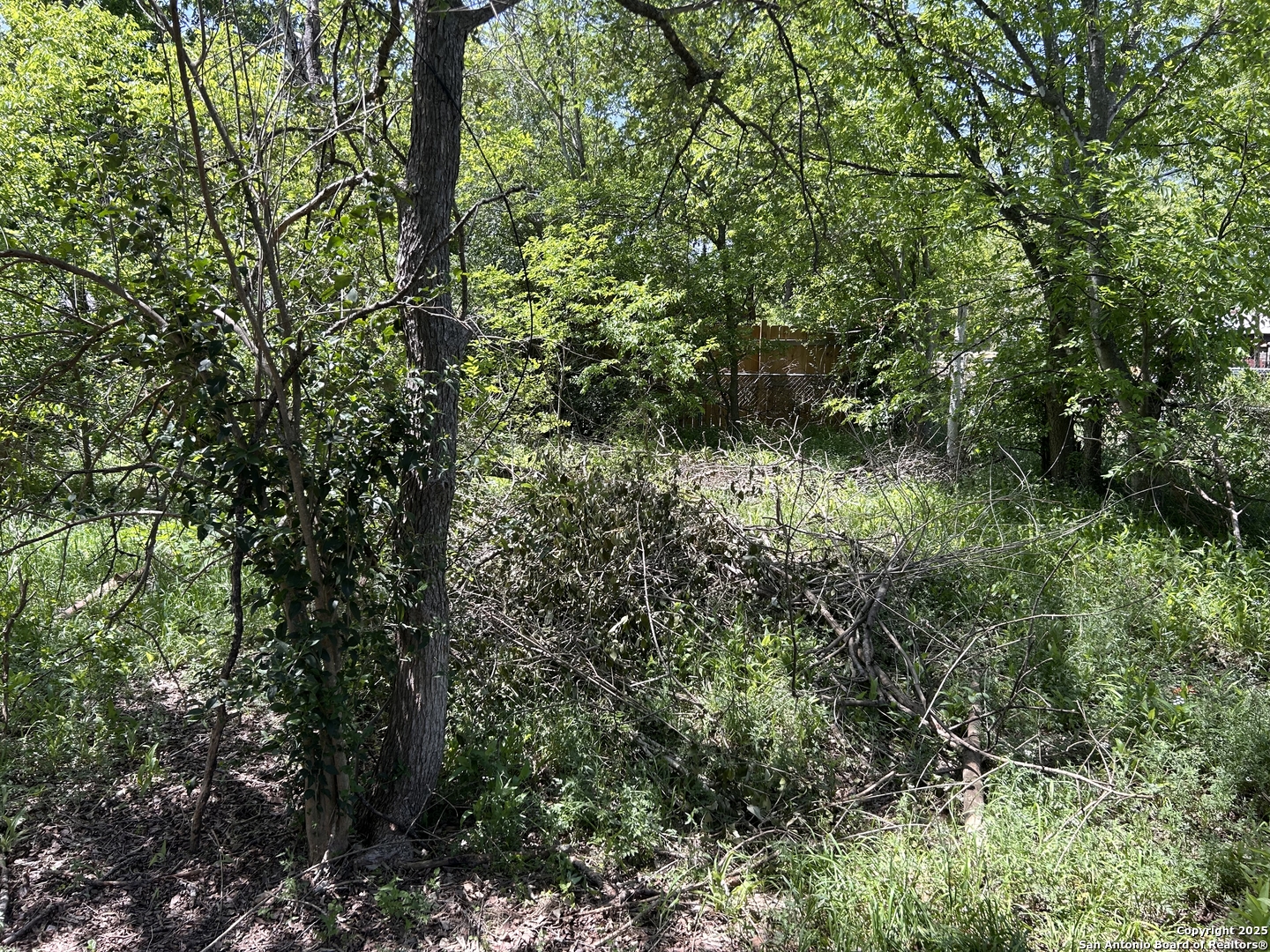 1011 Shadwell San Antonio TX 78228