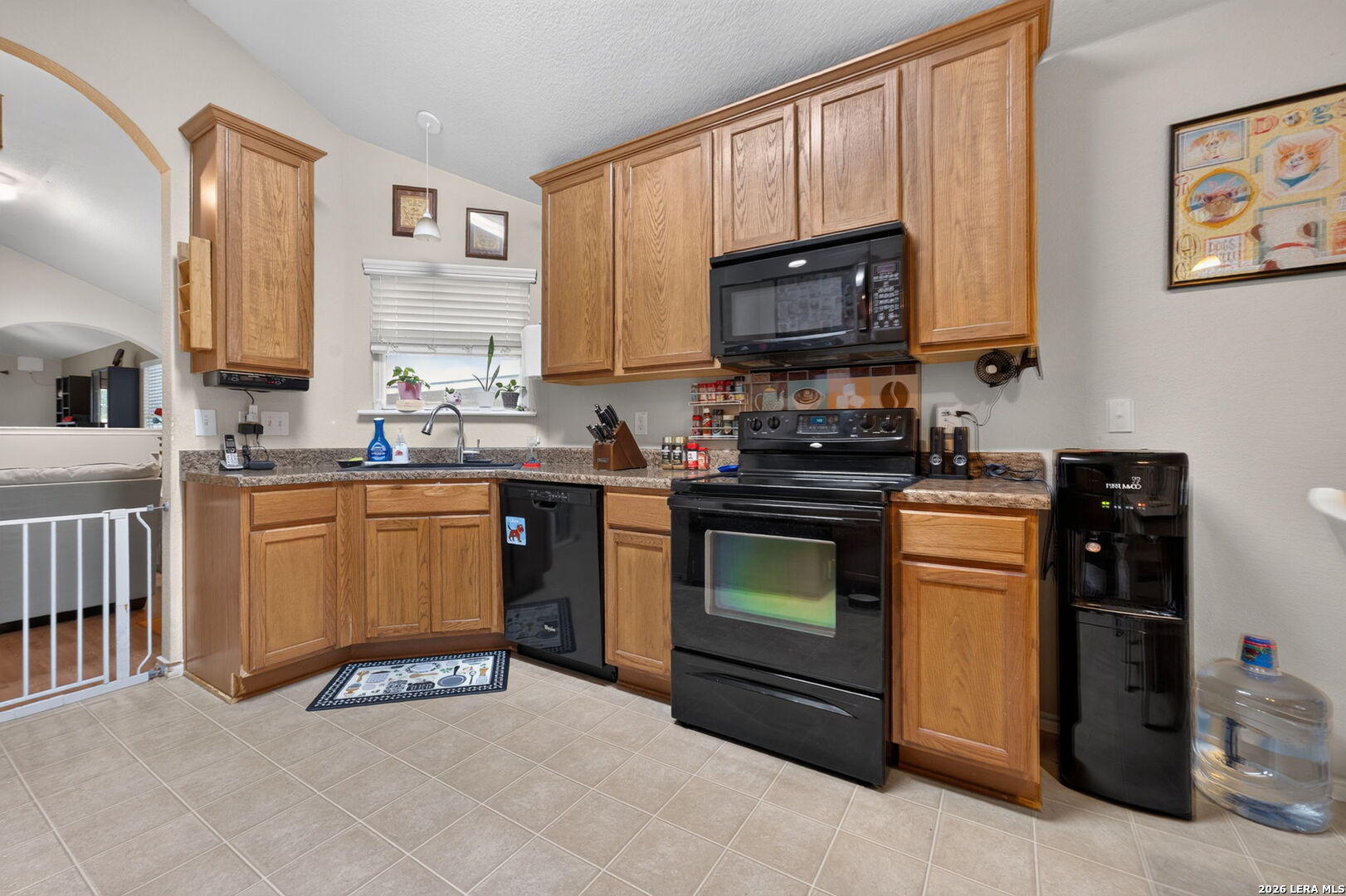 6238 Parsley Hill Leon Valley TX 78238