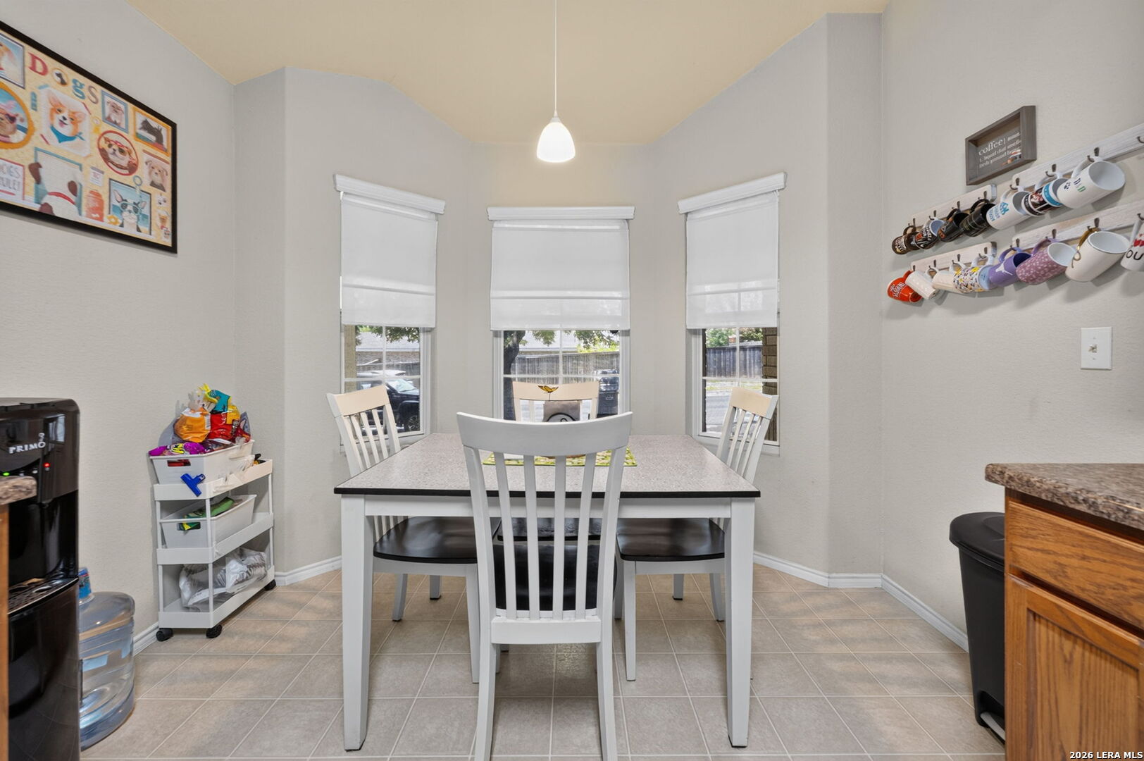 6238 Parsley Hill Leon Valley TX 78238