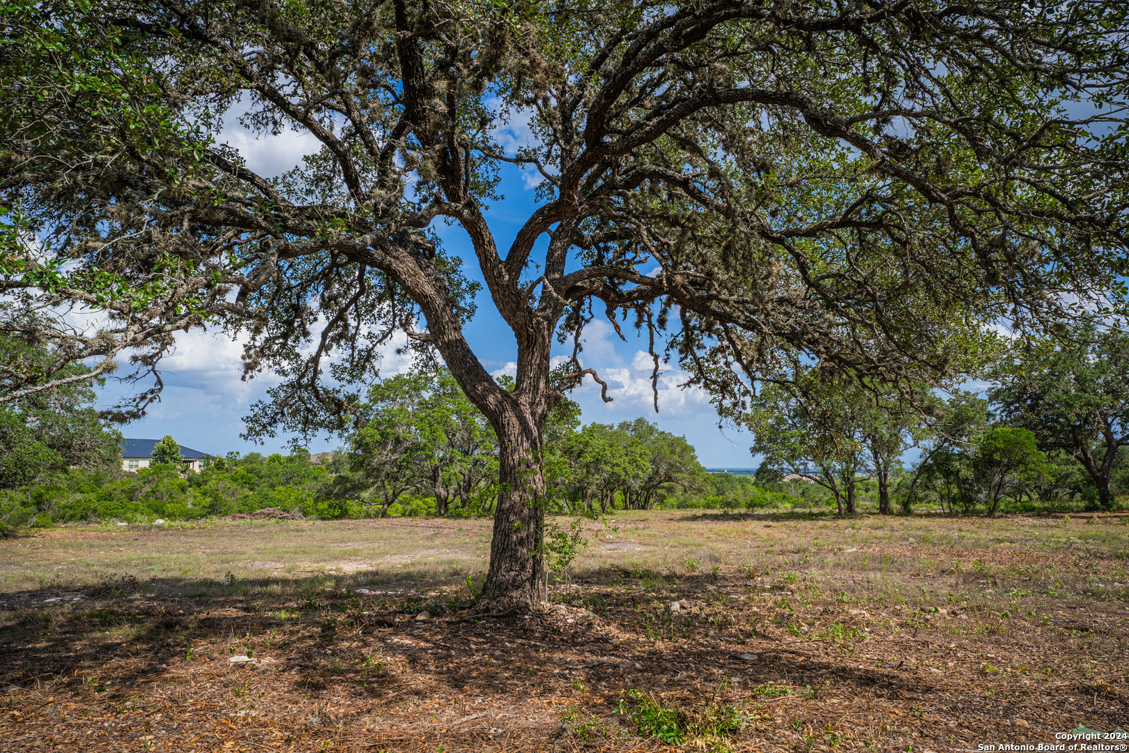 13402 Lucas Circle San Antonio TX 78245