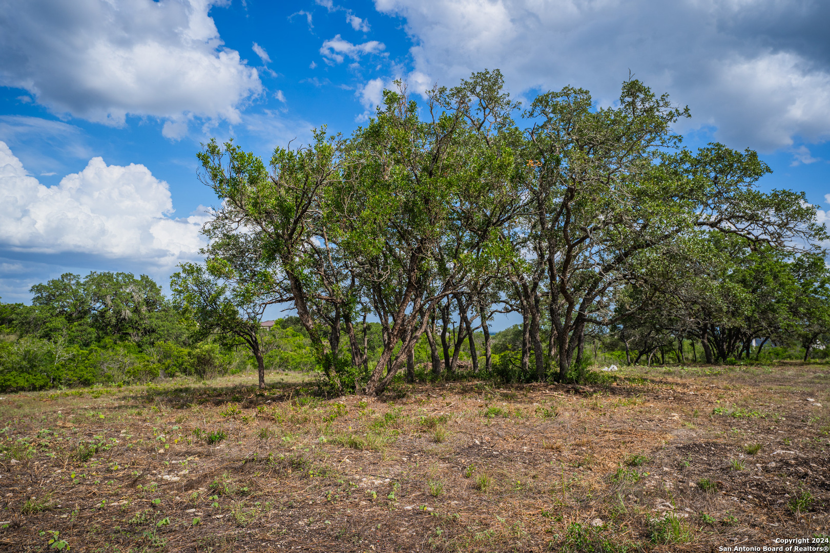 13402 Lucas Circle San Antonio TX 78245