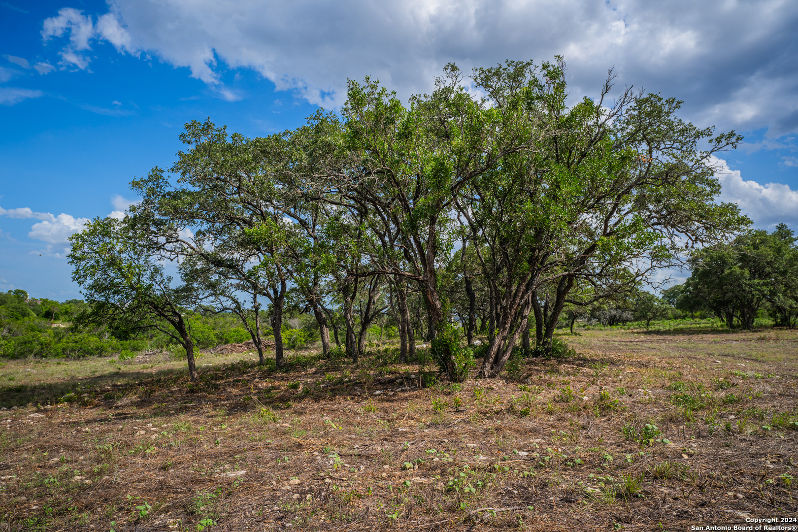 13402 Lucas Circle San Antonio TX 78245