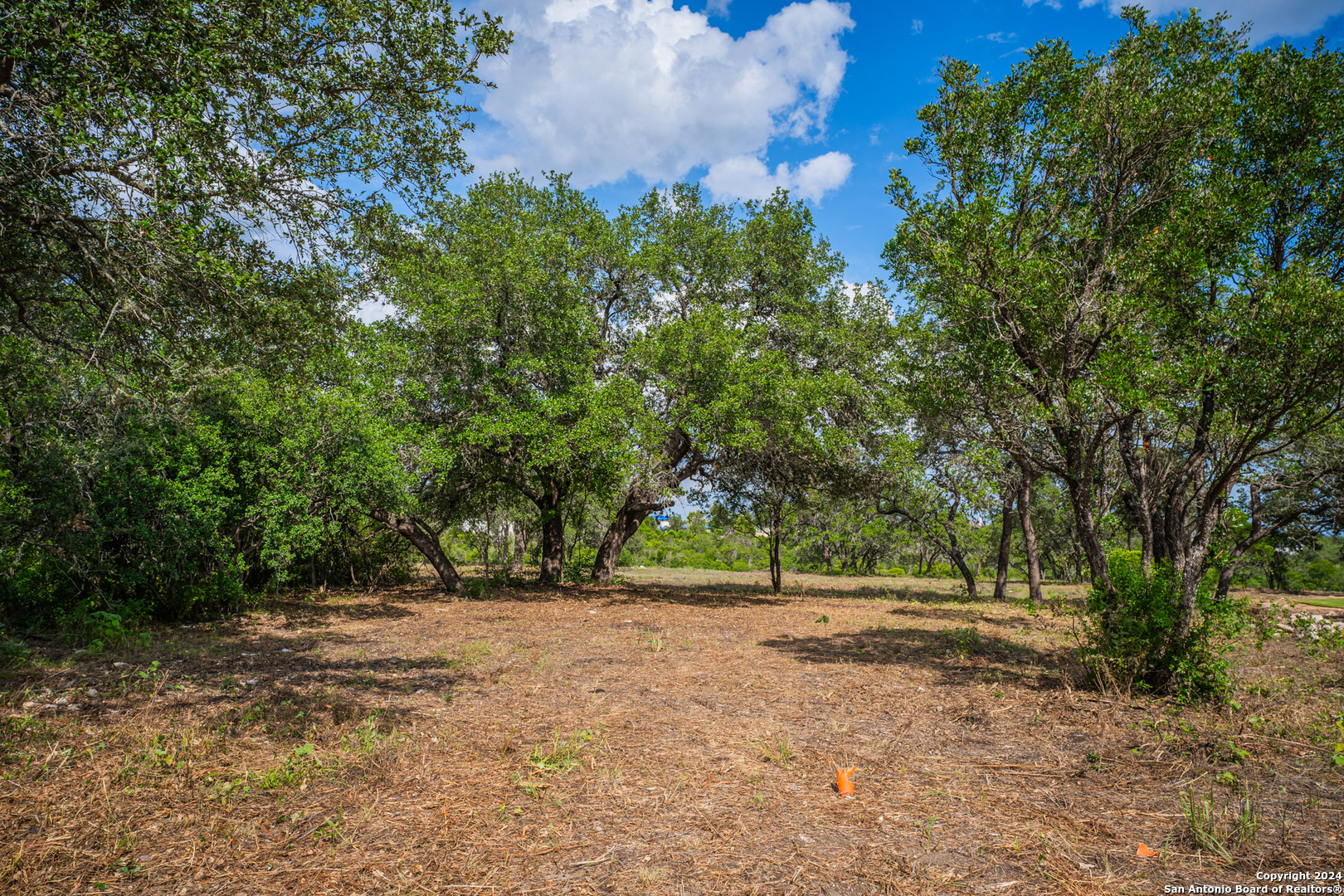 13402 Lucas Circle San Antonio TX 78245