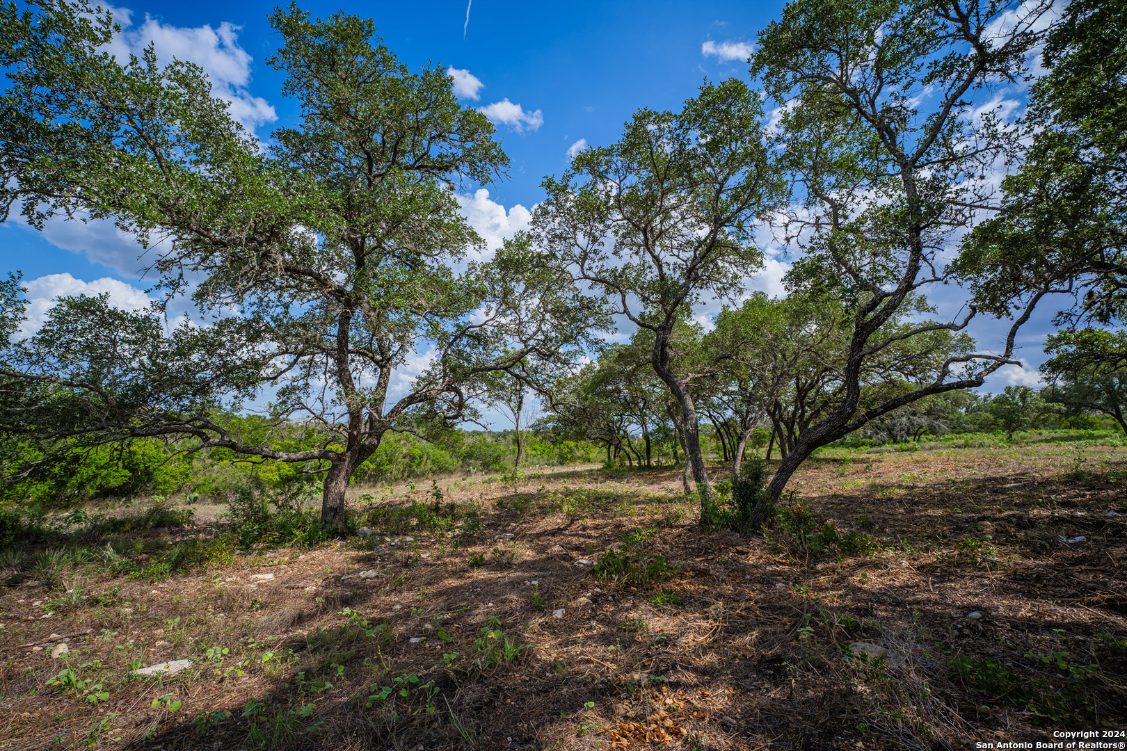 13402 Lucas Circle San Antonio TX 78245