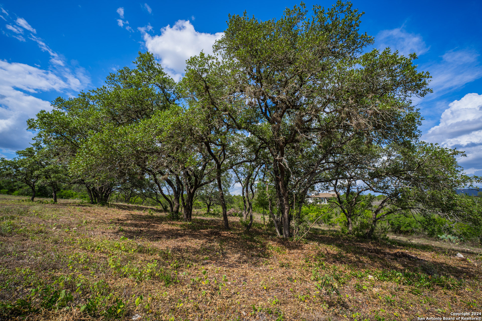 13402 Lucas Circle San Antonio TX 78245