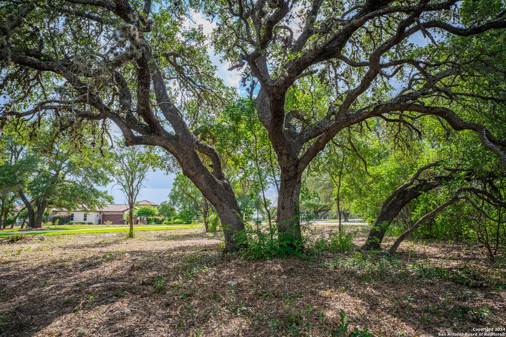 13402 Lucas Circle San Antonio TX 78245