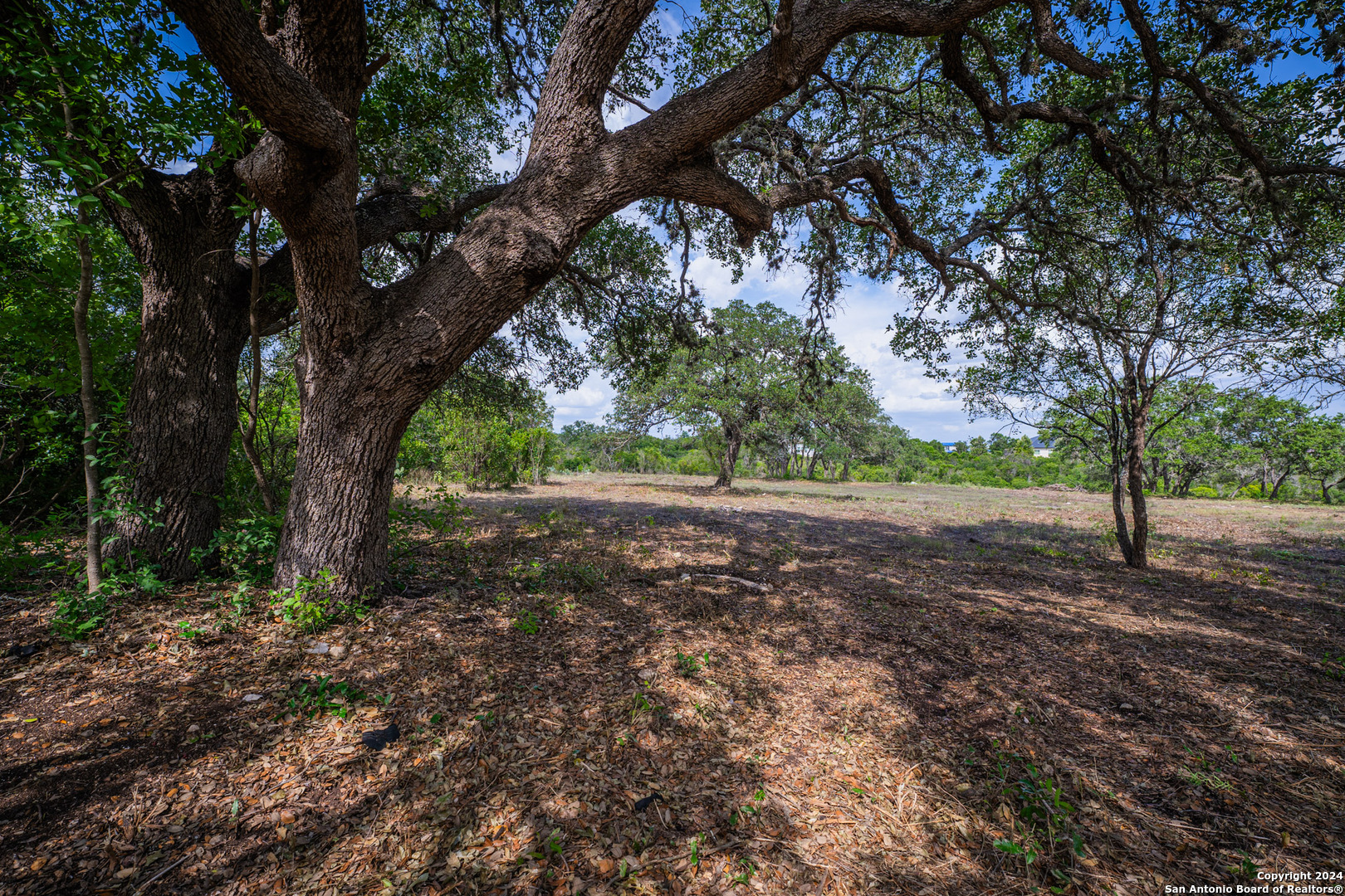 13402 Lucas Circle San Antonio TX 78245