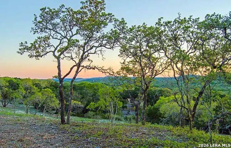 23906 Carina San Antonio TX 78255