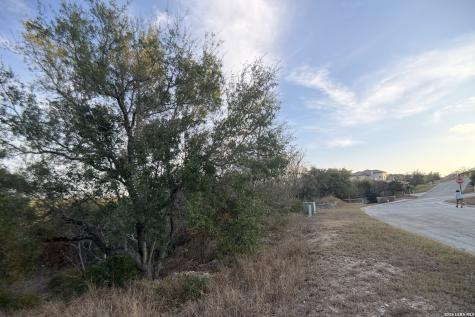 23906 Carina San Antonio TX 78255