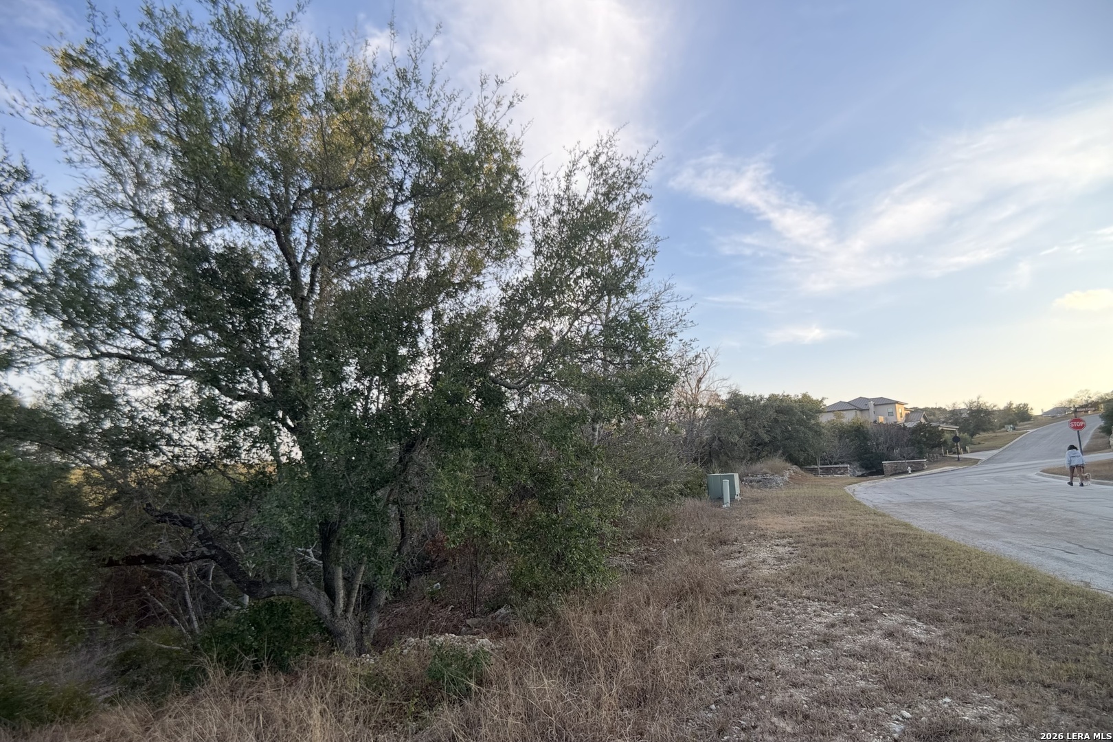 23906 Carina San Antonio TX 78255