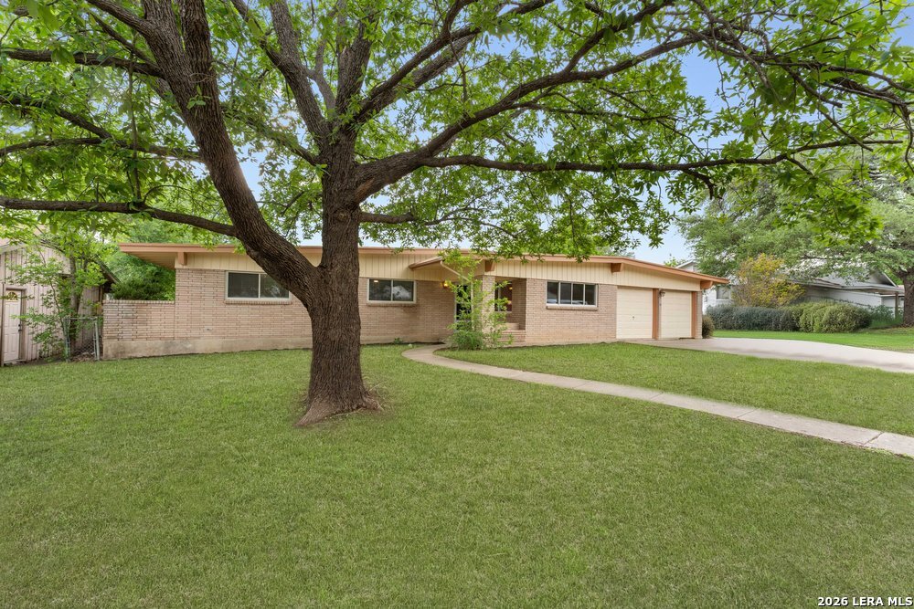 9823 John Rolfe Drive San Antonio TX 78230