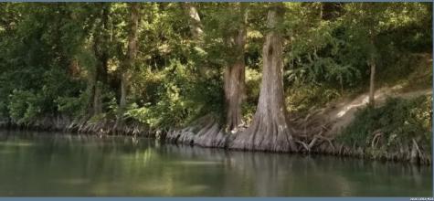 1006 Deep Water Drive Spring Branch TX 78070