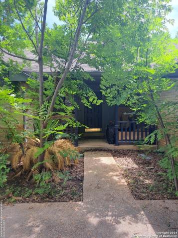 328 Cardinal Drive New Braunfels TX 78130