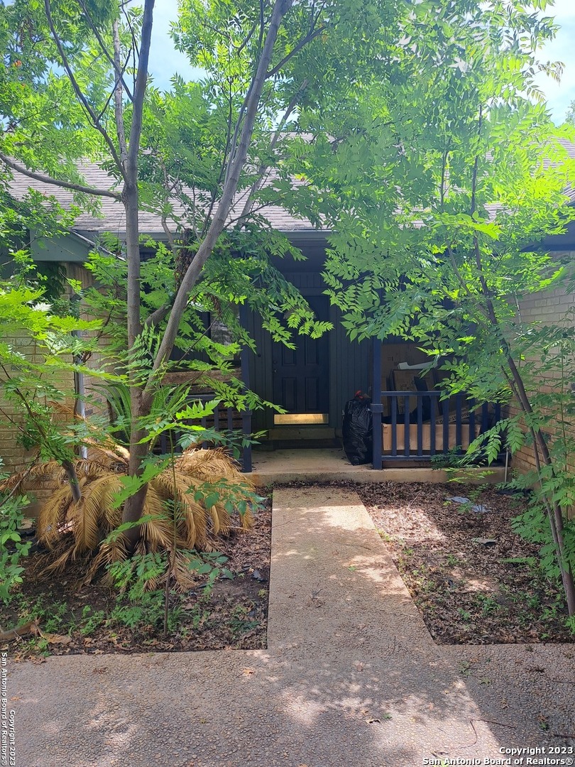 328 Cardinal Drive New Braunfels TX 78130
