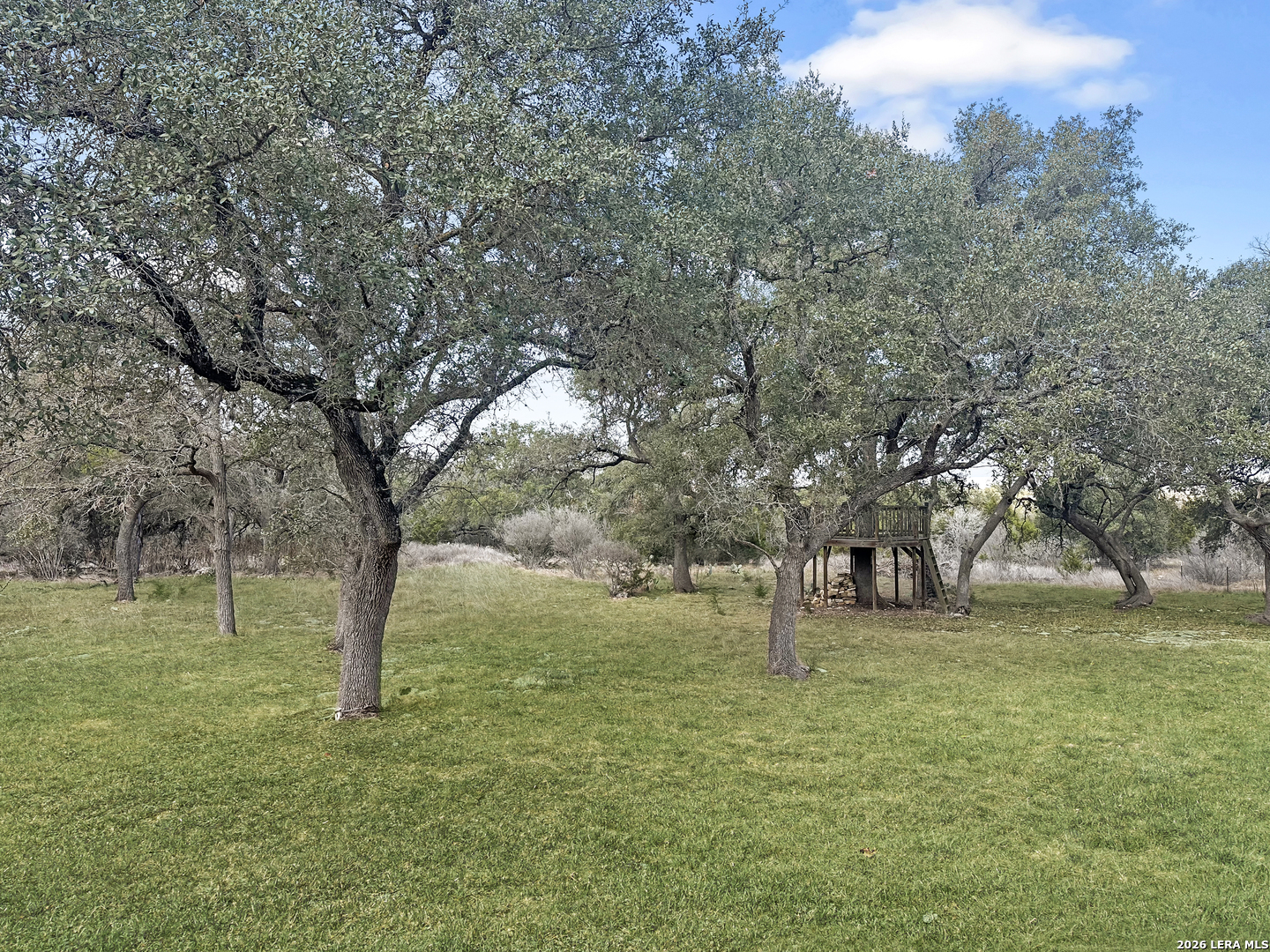 113 Hoskins Trail Boerne TX 78006