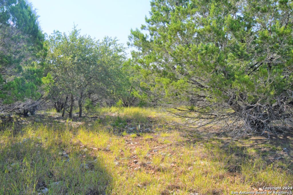 278 Canyon Drive Bandera TX 78003