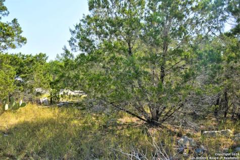 278 Canyon Drive Bandera TX 78003