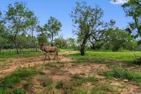 1930 Odaniel Road Seguin TX 78155