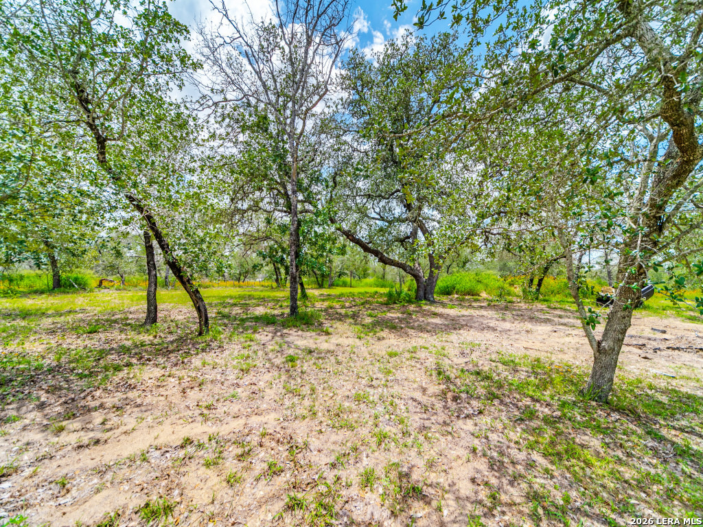 335 Spur Ridge San Antonio TX 78264