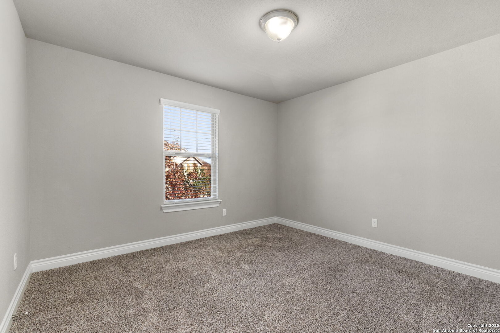 219 Lucchese San Antonio TX 78253