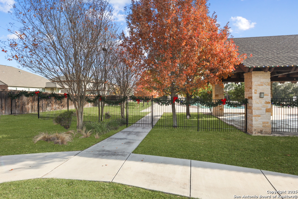 219 Lucchese San Antonio TX 78253