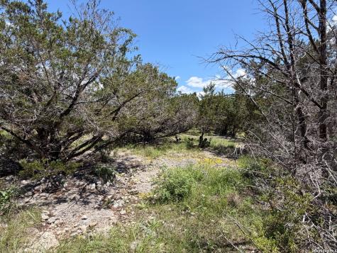 560 Hummingbird Hill Canyon Lake TX 78133
