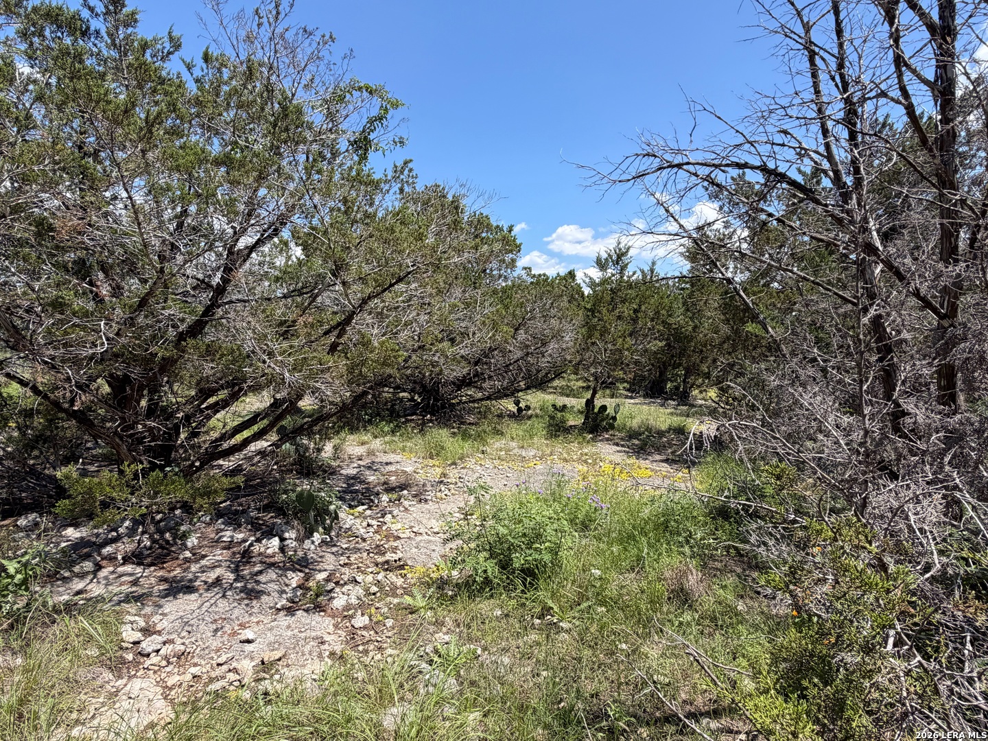 560 Hummingbird Hill Canyon Lake TX 78133