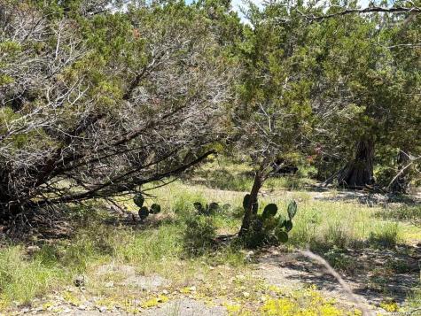560 Hummingbird Hill Canyon Lake TX 78133