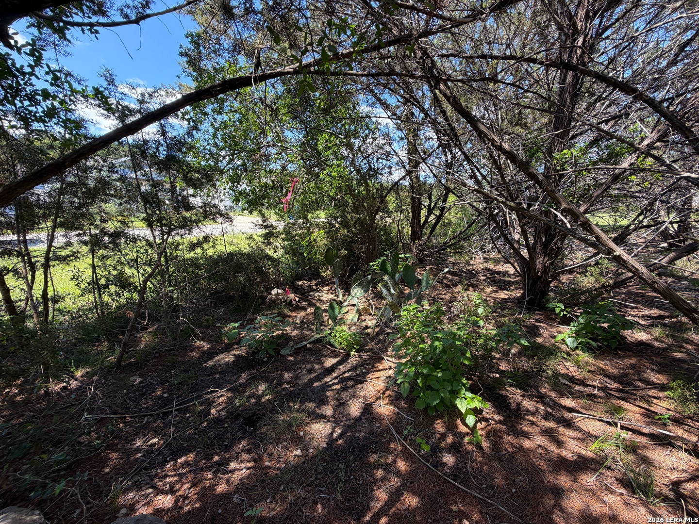 560 Hummingbird Hill Canyon Lake TX 78133