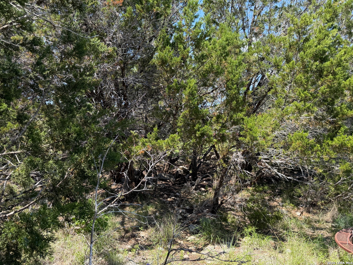 560 Hummingbird Hill Canyon Lake TX 78133